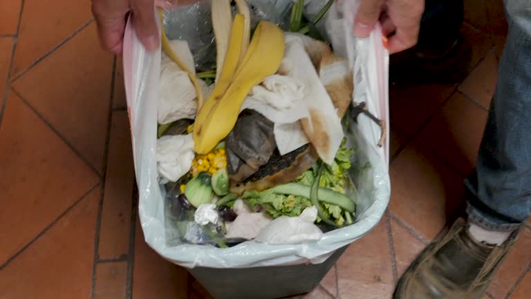 Bennington, NE Junk Removal Services Pros